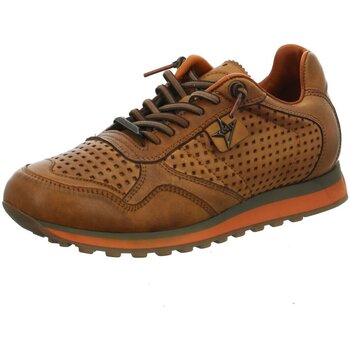 Bild von Cetti  Halbschuhe Schnuerschuhe C848 Sneaker tin moka