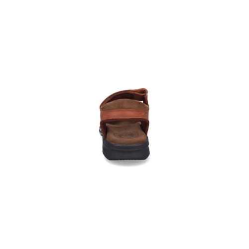 Bild von Panama Jack Sandalen SANDERS BASICS C4