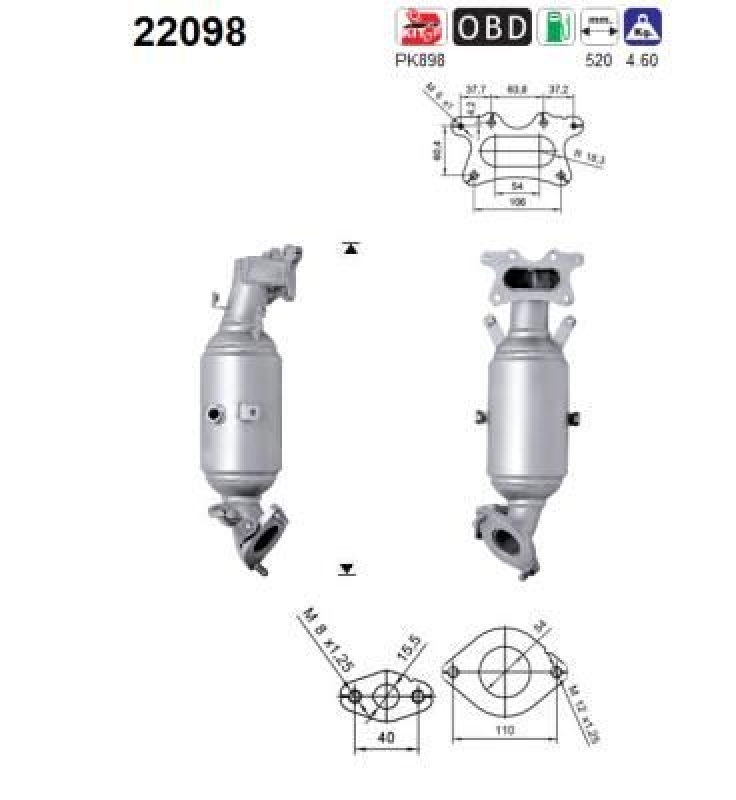 Bild von AS 22098 Katalysator 520