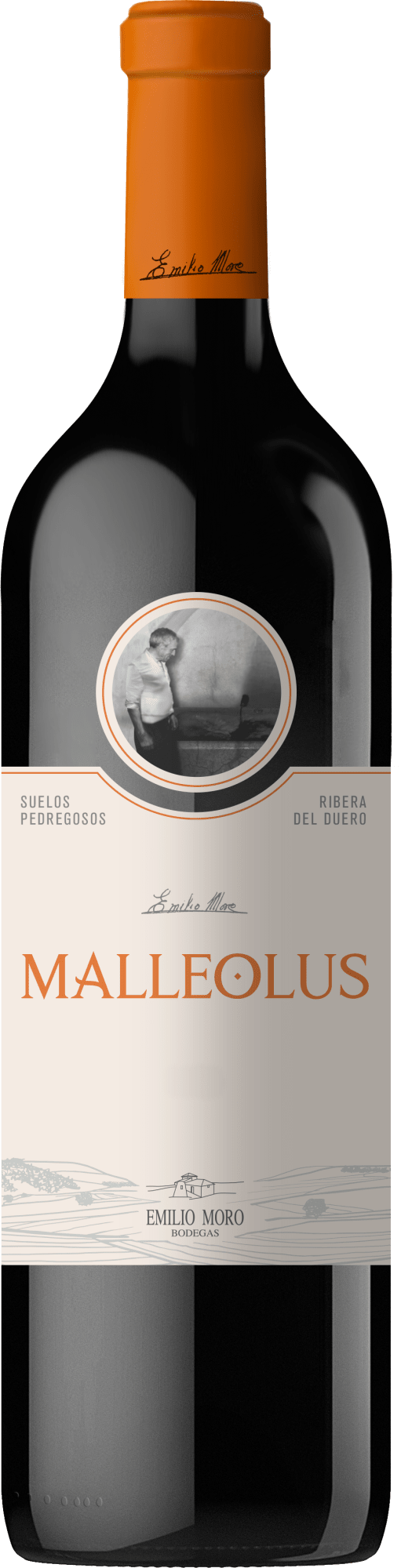 Bild von Emilio Moro »Malleolus«