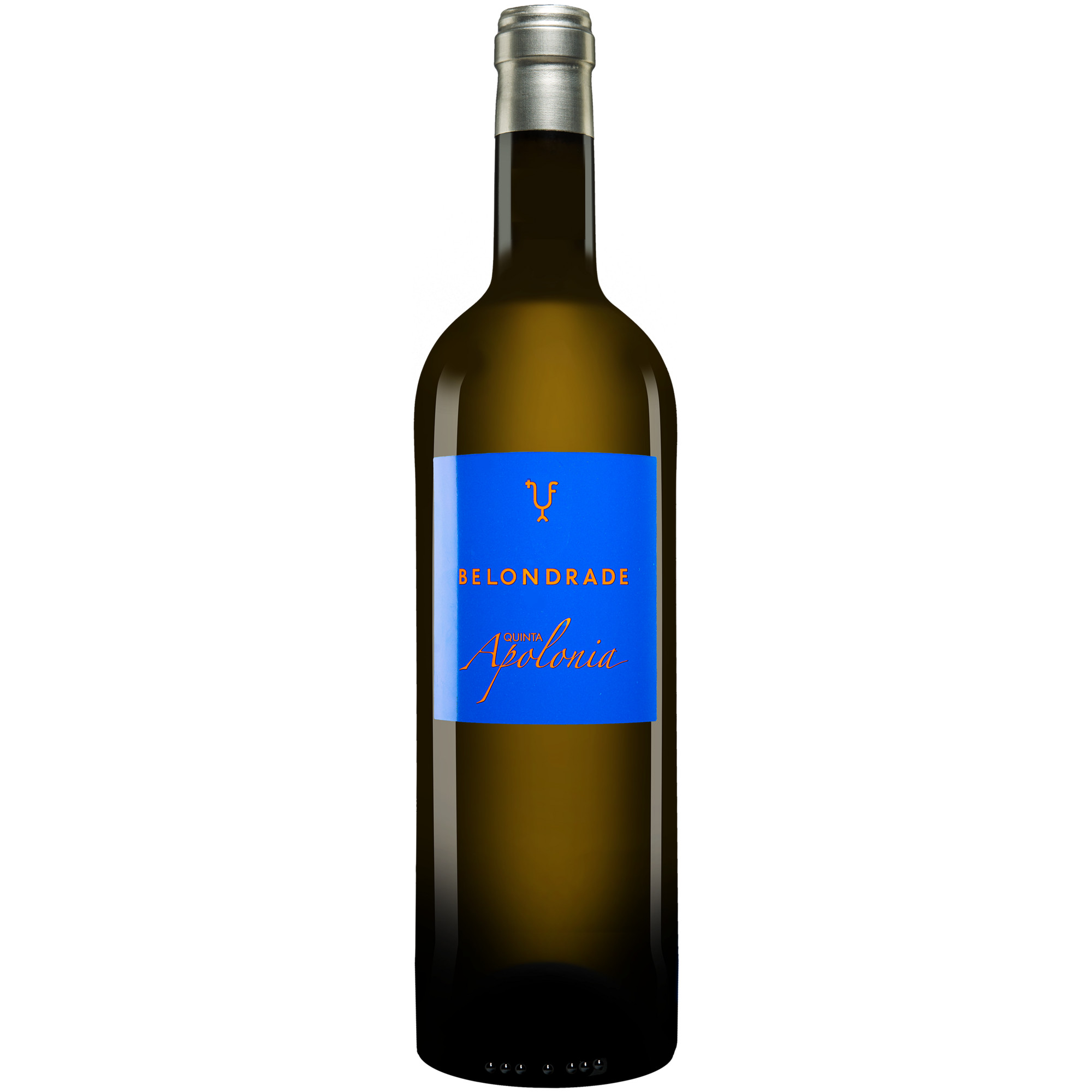 Bild von Quinta Apolonia Belondrade 2023  0.75L 13.5% Vol. Weißwein Trocken aus Spanien