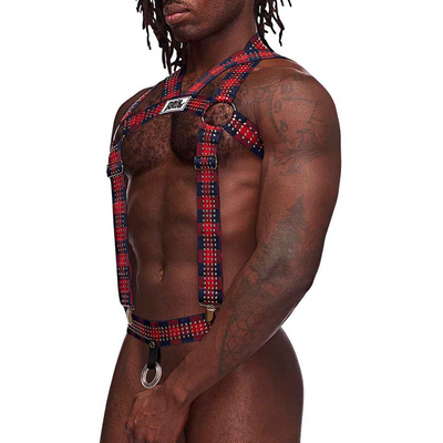 Bild von Elastic Harness with Studs - One Size - Red