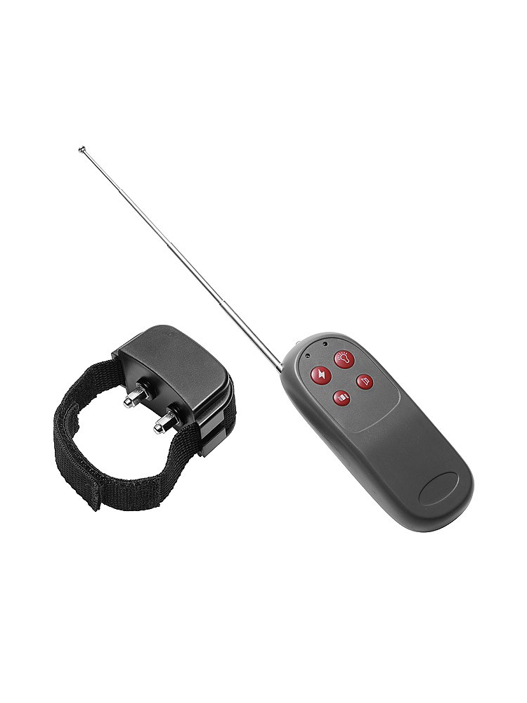 Bild von Master Series Cock Shock Remote: Elektroschock-Penisring, schwarz