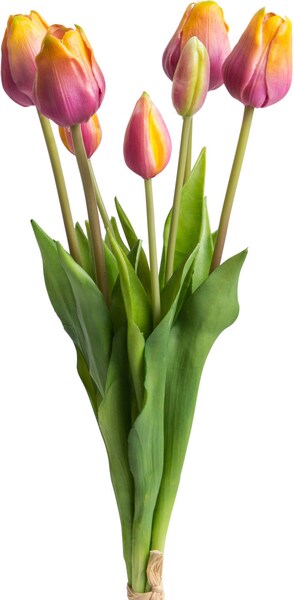 Bild von Kunstblume Tulpenbündel real Touch Tulpe, Botanic-Haus, Höhe 47 cm