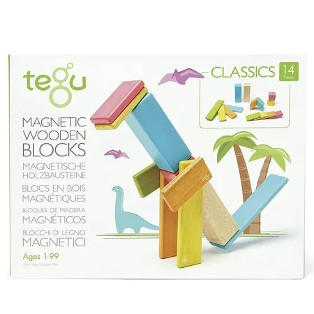 Bild von Tegu Magnetisches Holzset farbig 14 Teile