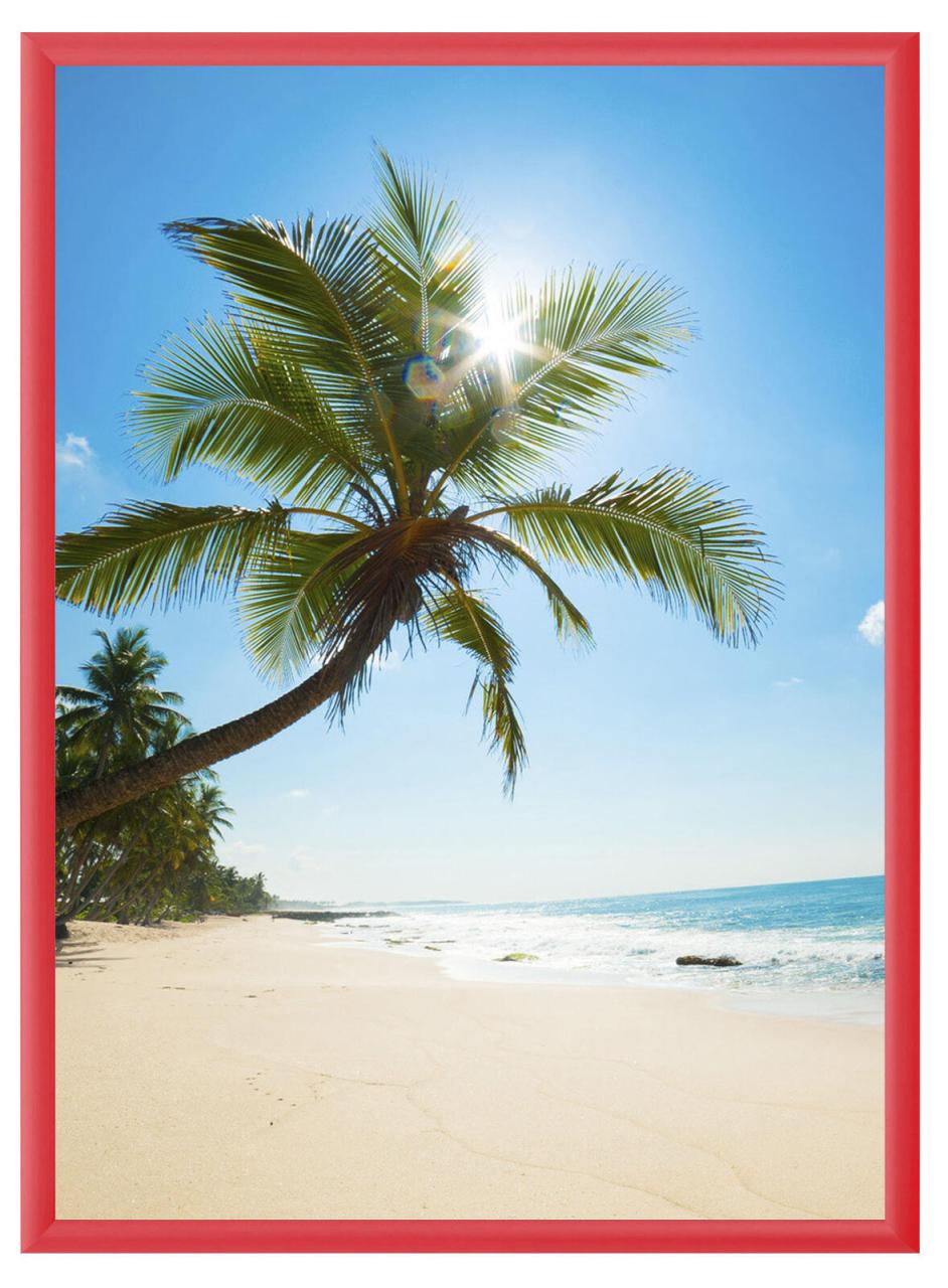 Bild von Showdown® Displays Klapprahmen 45,1 x 62,5 cm rot