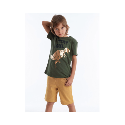 Bild von Cooles T-Rex T-Shirt und Gabardine Shorts Set für Jungen