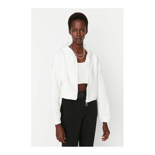 Bild von Trendyol Collection Ecru Basic Reißverschluss Kapuzenpullover für Damen