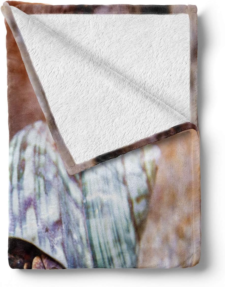 Bild von ABAKUHAUS Einsiedlerkrebs Weiche Kuscheldecke Sofadecke, Hoch detailliertes Foto, Gemütlicher Plüsch für den Innen- und Außenbereich, 125 x 175 cm, Mehrfarbig