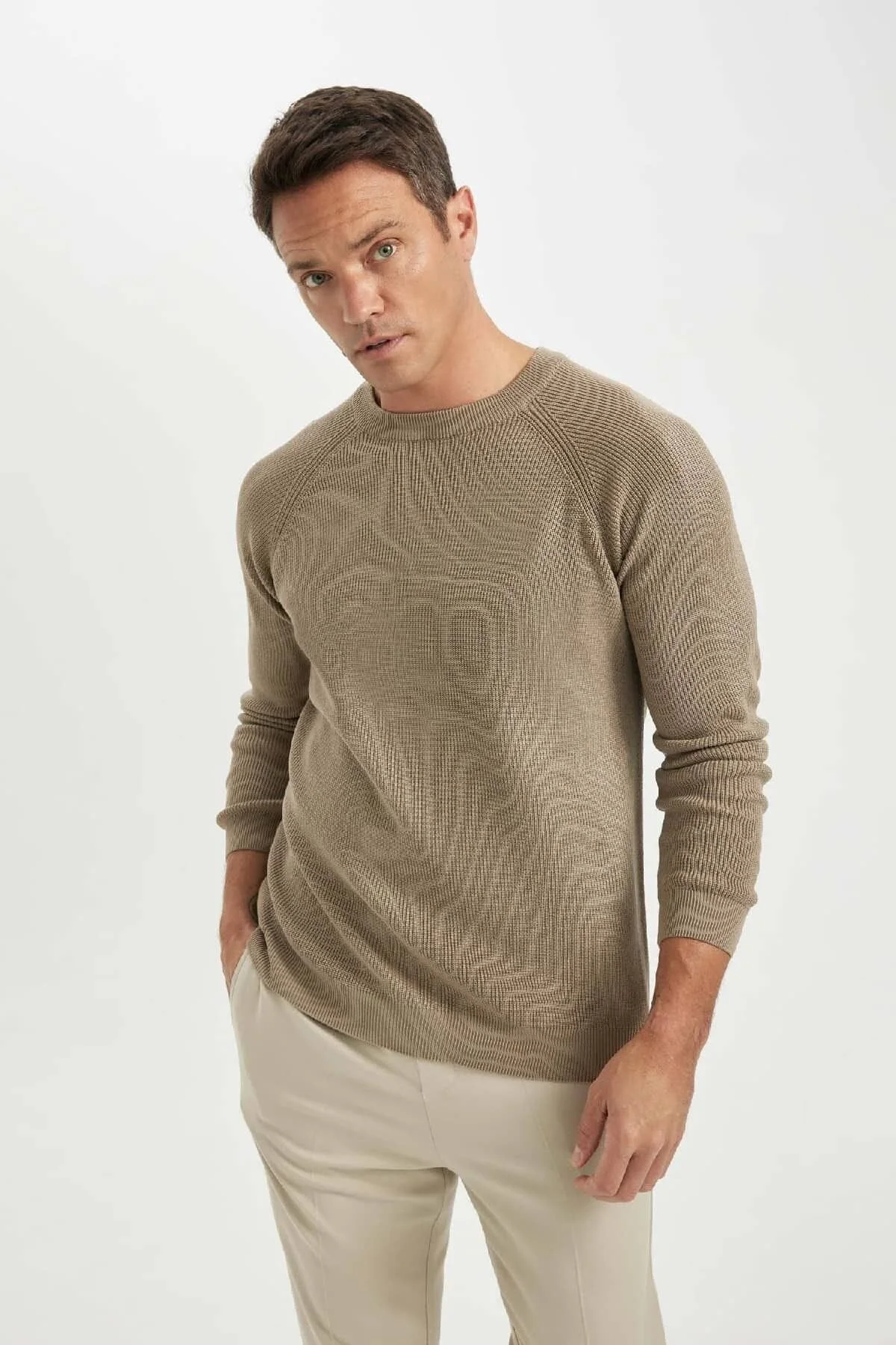 Bild von DeFacto Standard-passform, Normaler Schnitt, Fahrradkragen, Basic, Einfarbig, Strickpullover A8458ax24wn für Herren - S