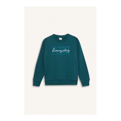 Bild von DeFacto Bedrucktes Sweatshirt Mit Rundhalsausschnitt Für Jungen D3036a824wn für Herren - 11–12 Jahre