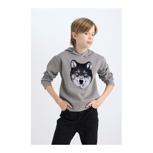 Bild von DeFacto Bedrucktes Sweatshirt Mit Kapuze Für Jungen - 9–10 Jahre