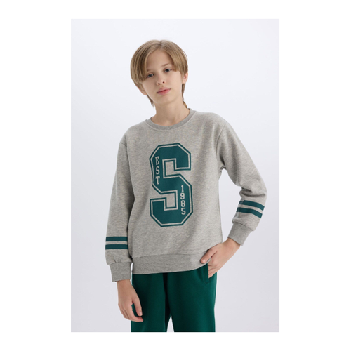 Bild von DeFacto Bedrucktes, Dickes Sweatshirt Mit Rundhalsausschnitt Für Jungen