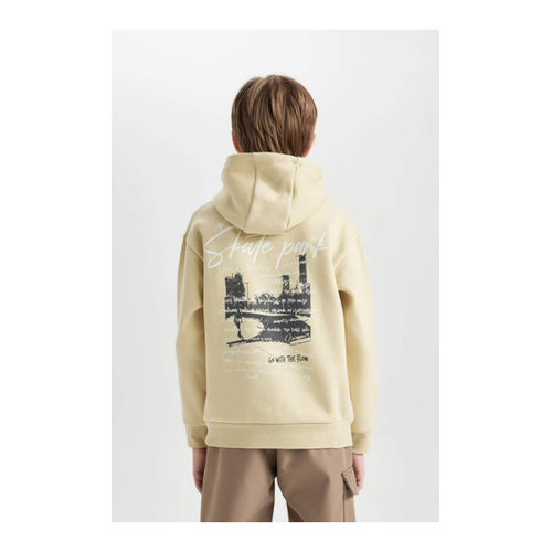Bild von DeFacto Dickes Sweatshirt Mit Kapuzenrücken Für Jungen