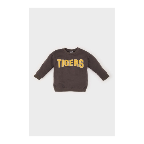 Bild von DeFacto Baby-Jungen-Sweatshirt mit Rundhalsausschnitt
