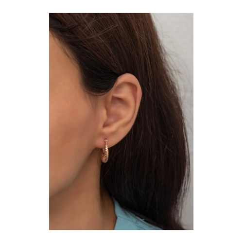 Bild von Exquisite Rose Gold Sterling Silber Ohrringe