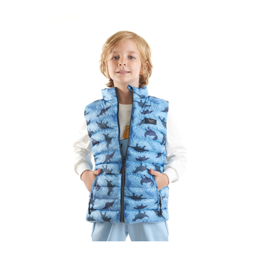 Bild von AHENGİM Trendweste Mit Dino-aufdruck für Jungen – Ak 216061 für Herren - 6 Jahre