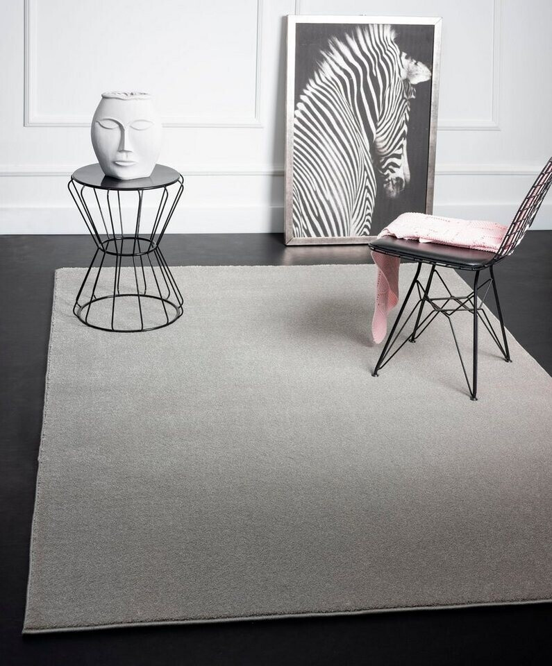 Bild von merinos Teppich MONTANA, Polypropylen, Silberfarben, 160 x 230 cm, rechteckig, Höhe: 17 mm