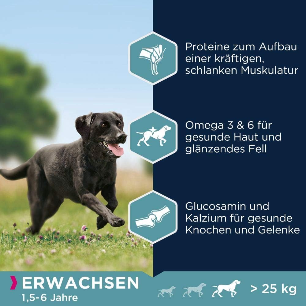 Bild von Eukanuba Welpenfutter mit frischem Huhn für große Rassen, Premium Trockenfutter für Welpen, 15 kg
