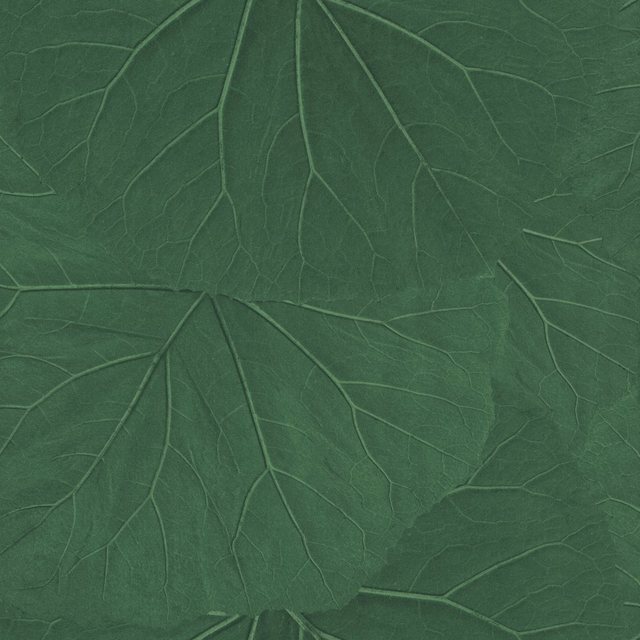 Bild von Rasch TEXTIL Vliestapete Rasch Textil Jungle Fever WWW. 138996 Grün
