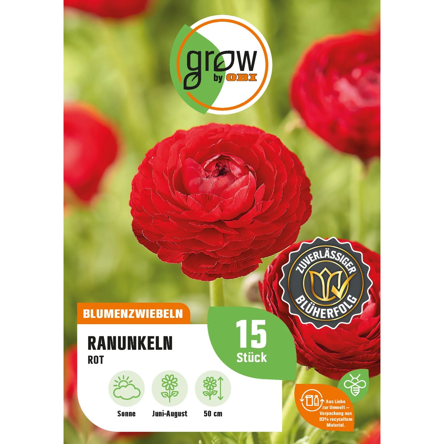 Bild von GROW by OBI Ranunkel Asiatisch Rot Höhe ca. 50 cm Ranuculus asiaticus