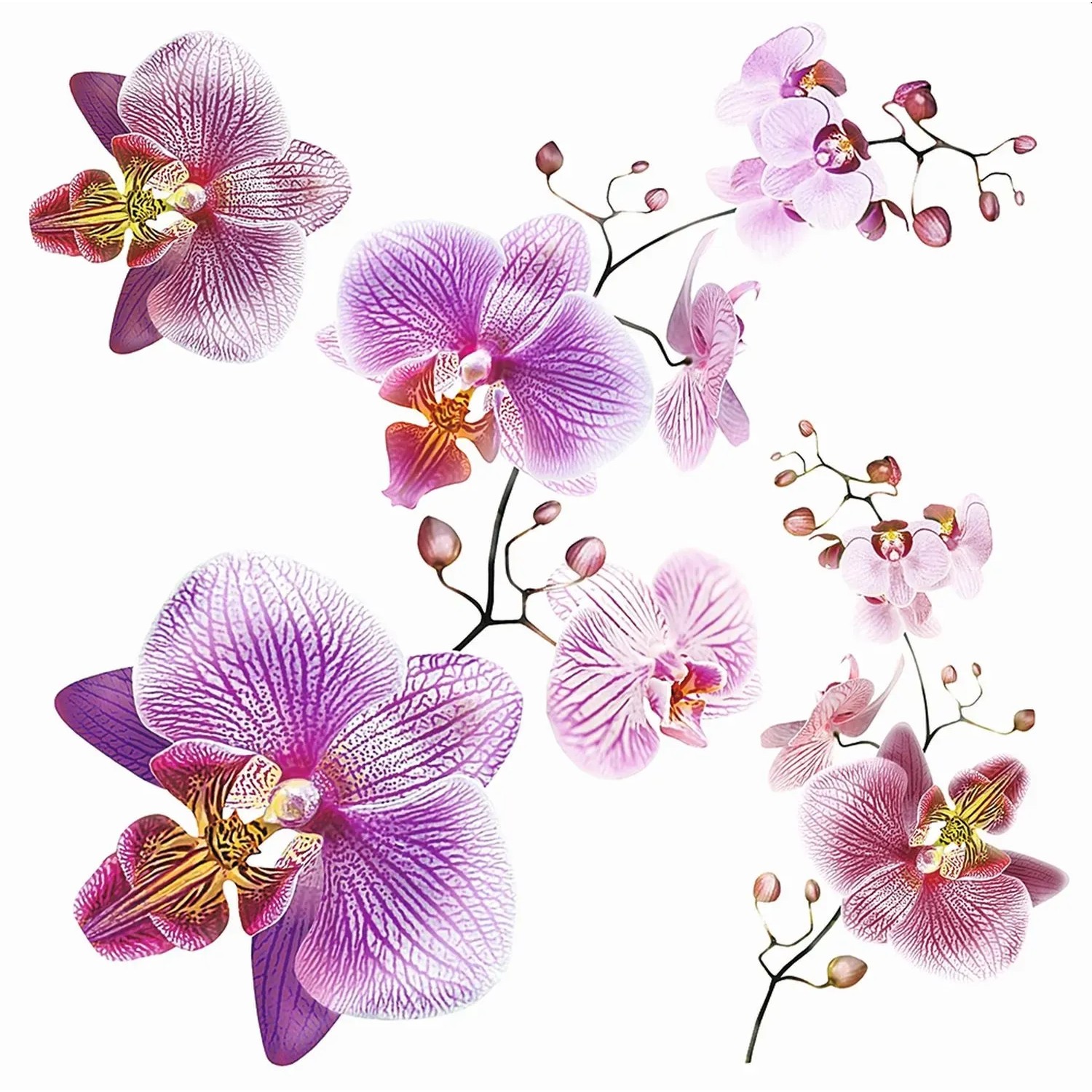Bild von Sanders & Sanders Wandtattoo Blumen Rosa und Lila 30 x 30 cm 600338