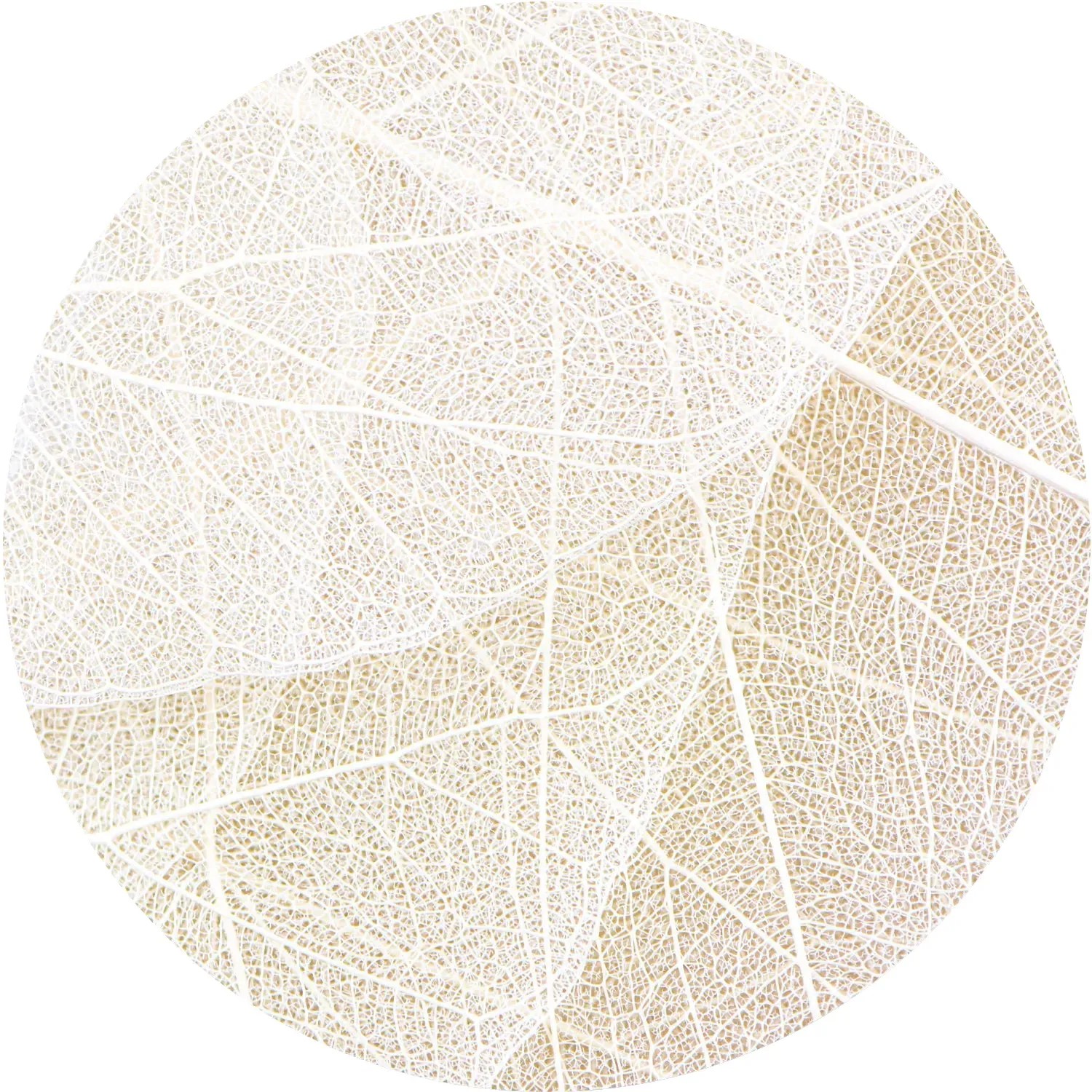 Bild von Sanders & Sanders Selbstklebende Runde Tapete Blätter Beige und Weiß Ø 140 cm 601155