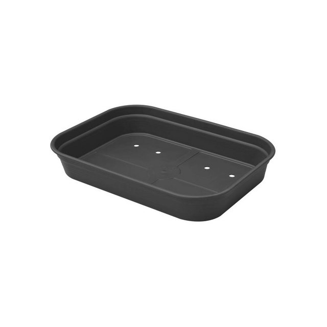Bild von Elho Anzuchtschale M Green Basics Living Schwarz aus Recycling-Kunststoff