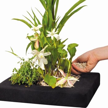 Bild von Velda Pflanzkörbe Floating Plant Island eckig 35 cm