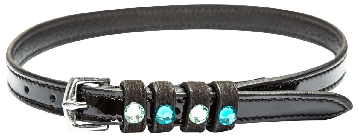 Bild von Imperial Riding Leder-Sporenriemen IRH PARDOUZ black lack zircon