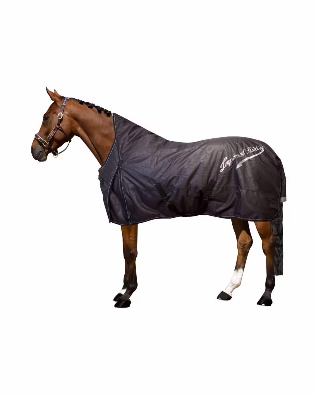 Bild von Regendecke Super-Dry 0 g