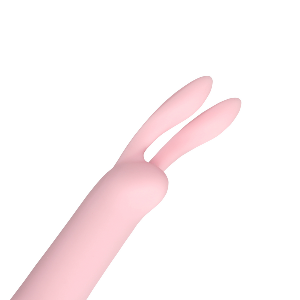 Bild von Mini Rabbit Vibrator mit USB Anschluss - Arctic Blue