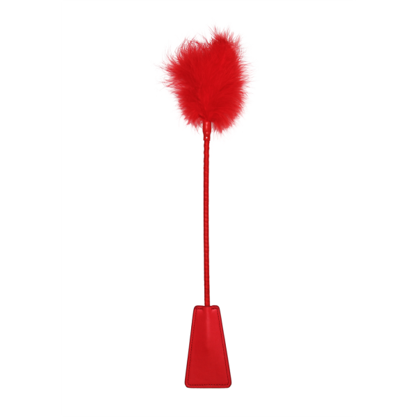 Bild von Crop with Feathers
