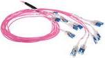 Bild von ACT 30 meter Multimode 50/125 OM4 Preterm fiber cable 24F LC Polarity Twist (30 m), Netzwerkkabel