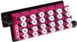 Bild von ACT Adapterplate 6xLC Quad (24F) OM4 (CAT6), Netzwerkkabel