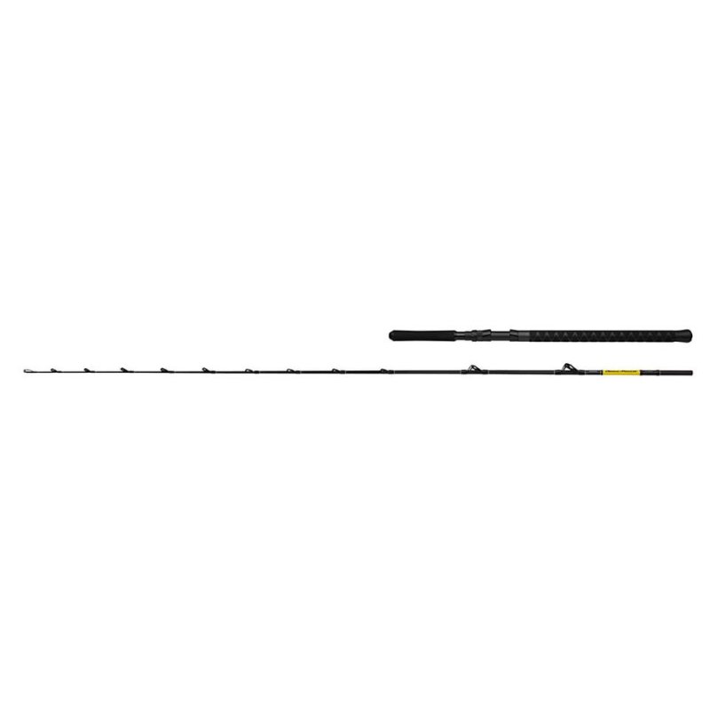 Bild von SHIMANO Beastmaster CX Boat Slim 2,29m 30-50lb