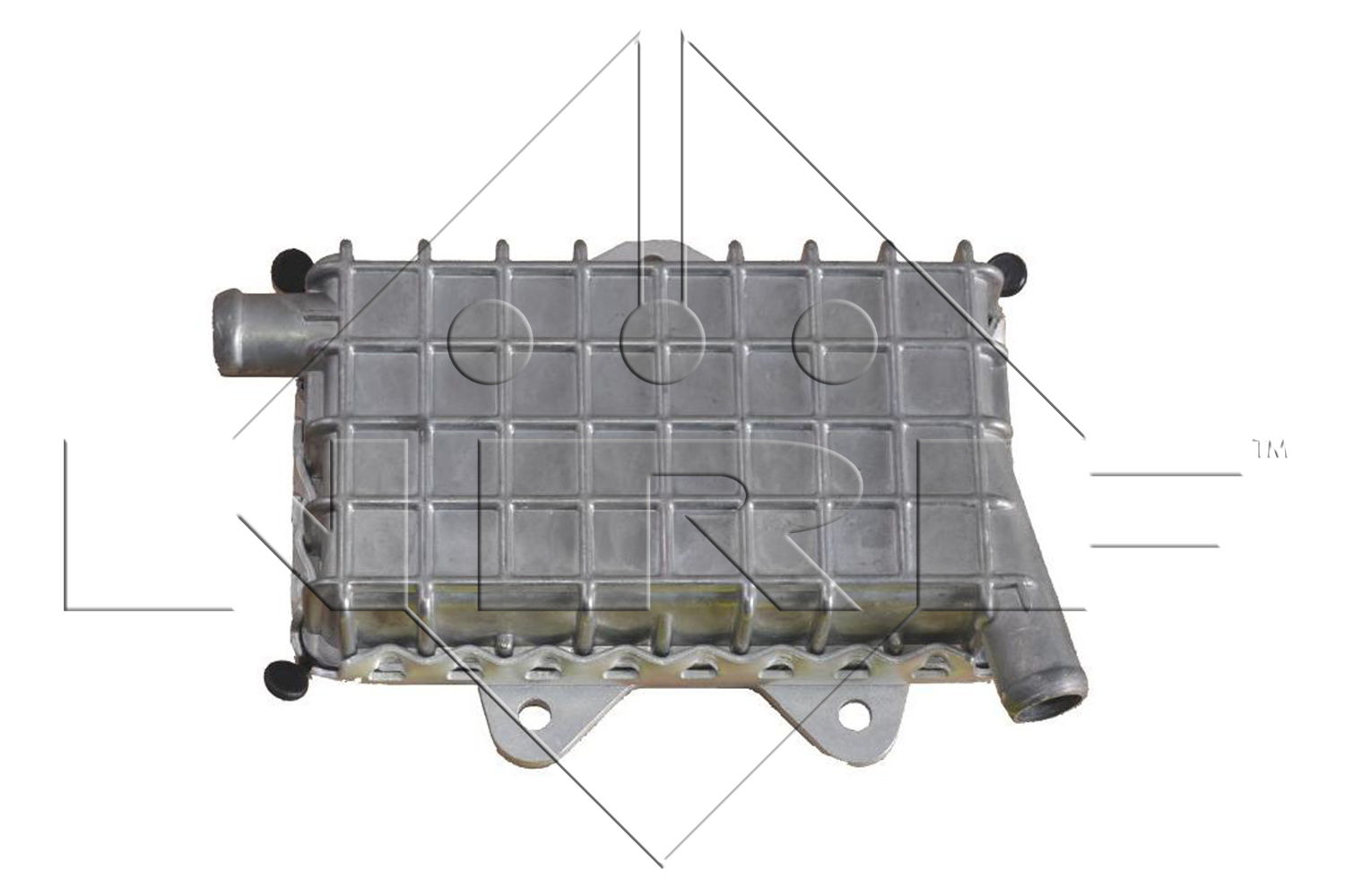 Bild von NRF EASY FIT 31180 Ölkühler Ölkühler, Motoröl wassergekühlt mit Dichtring