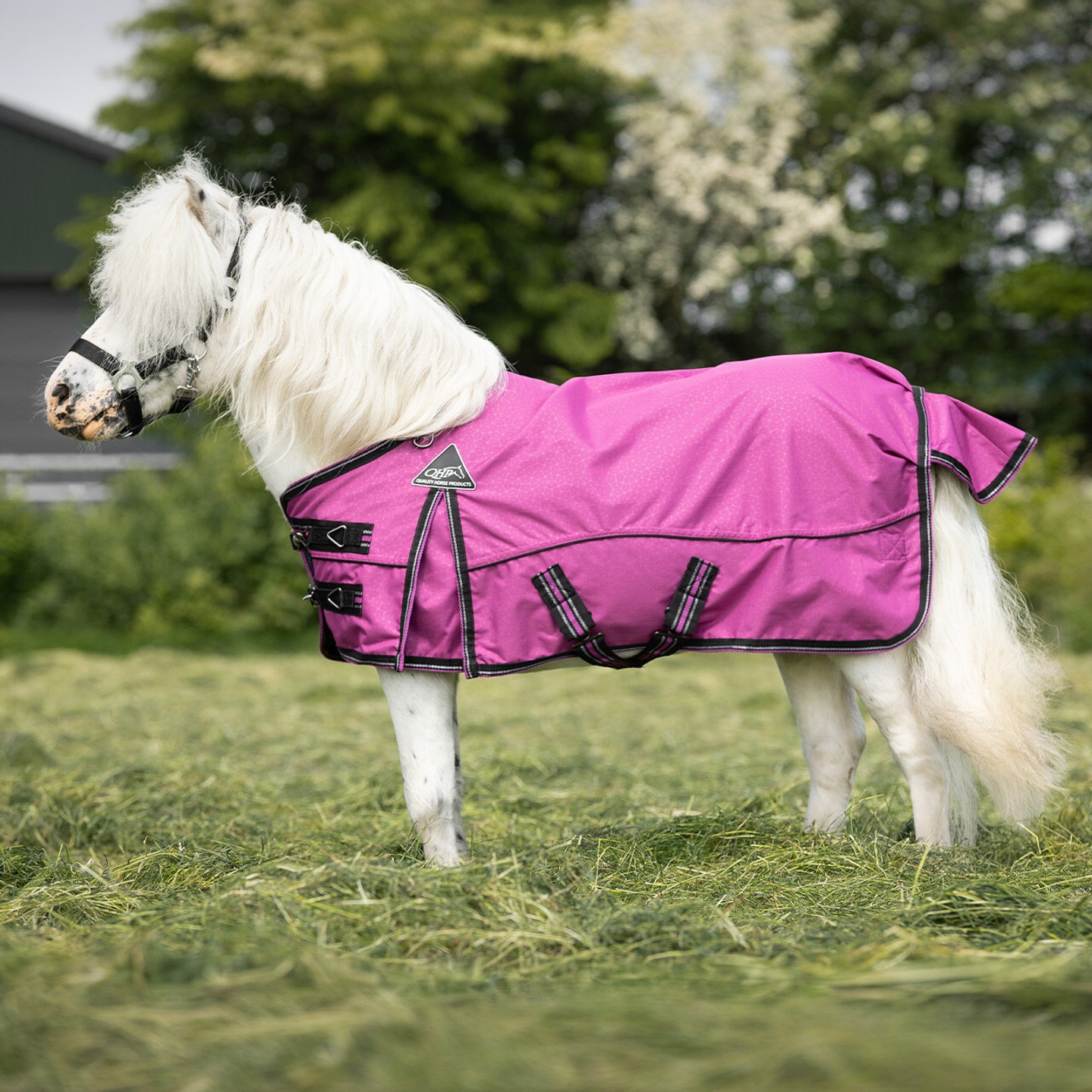 Bild von QHP Turnoutdecke Falabella Collection 0gr