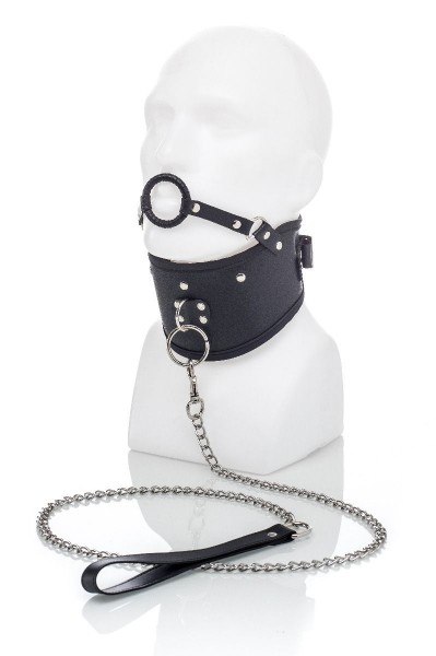 Bild von Halsband mit Mundring