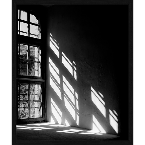 Bild von ANY IMAGE Digitaldruck »Sonnenlicht«, Rahmen: Buchenholz, Schwarz