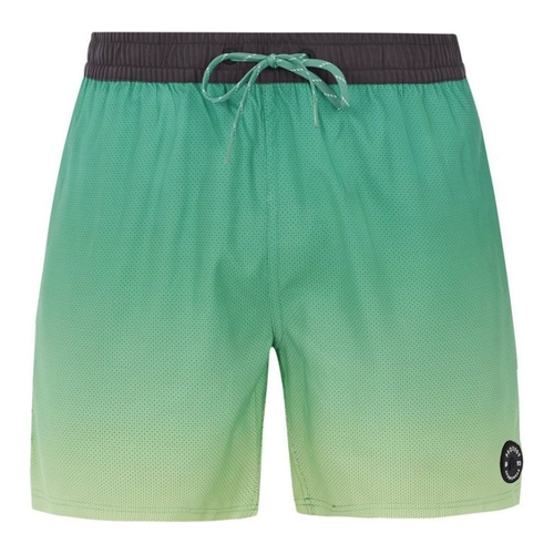 Bild von Protest Herren Strandshorts PRTERIN M – Stilvoll und Nachhaltig