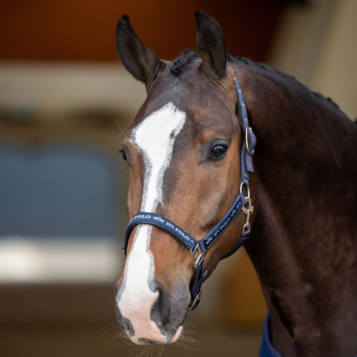 Bild von HV Polo Halfter HVP NENA navy X-Full