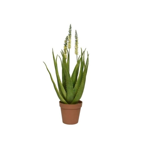 Bild von Kunstpflanze AGAVE – Der perfekte grüne Akzent für Ihr Zuhause