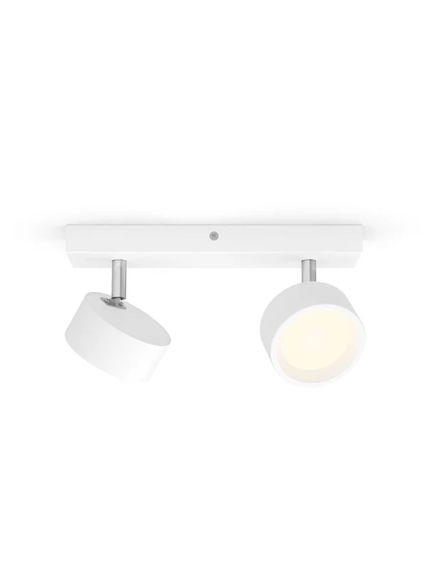 Bild von Philips, Wandleuchte + Deckenleuchte, LED Bracia (1100 lm)