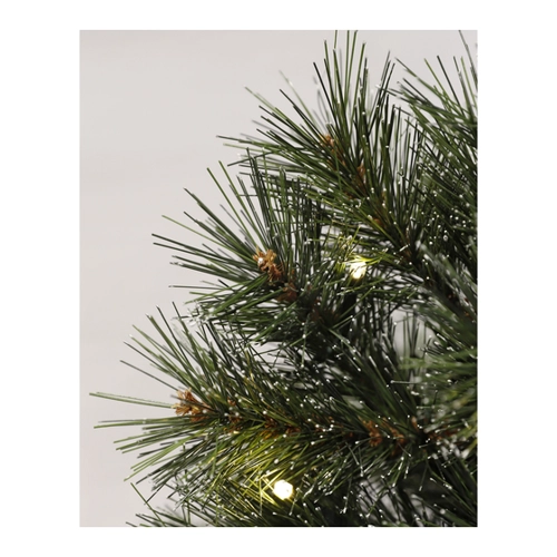 Bild von Black Box Trees Künstlicher Weihnachtsbaum 'Jasper' grün 45 cm mit LED-Beleuchtung