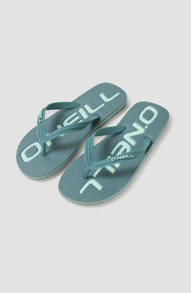 Bild von O'Neill Zehentrenner »PROFILE LOGO SANDALS«