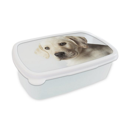 Bild von MuchoWow Lunchbox Labrador Welpe Portrait