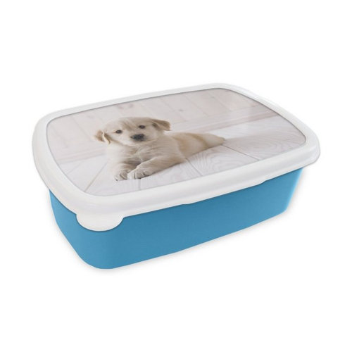 Bild von MuchoWow Lunchbox mit Weißer Golden Retriever Welpe