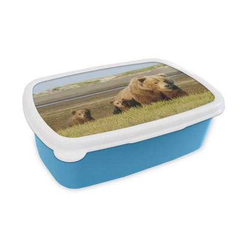 Bild von MuchoWow Lunchbox Bär - Grizzly - Jungtiere
