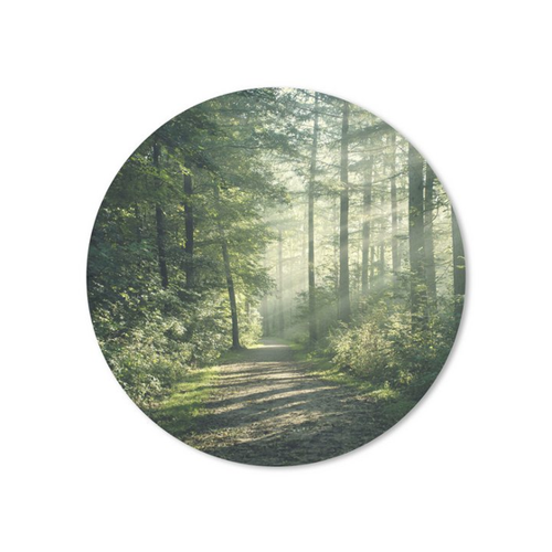 Bild von MuchoWow Mauspad Wald – Das perfekte Gadget für Gamer und Büro